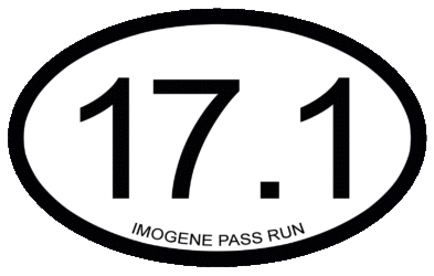Imogene Pass Run